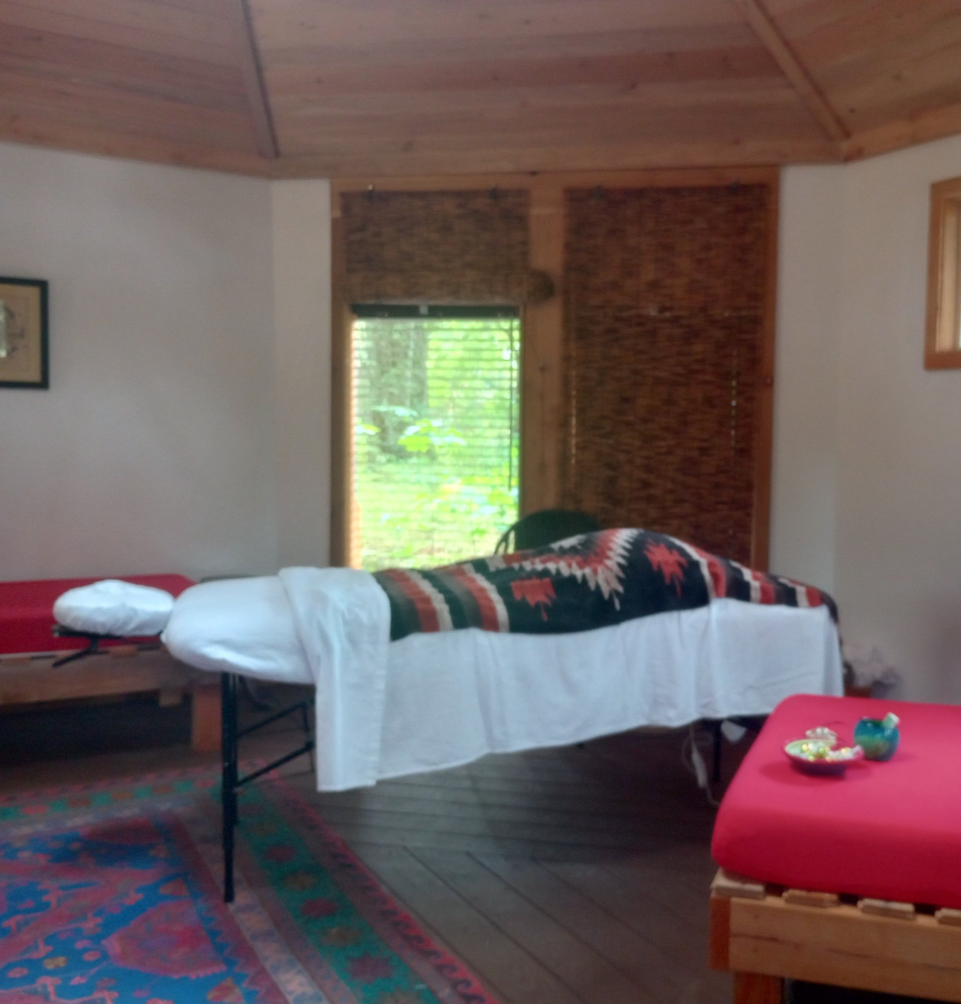 Calm Hippo — gallery image 2