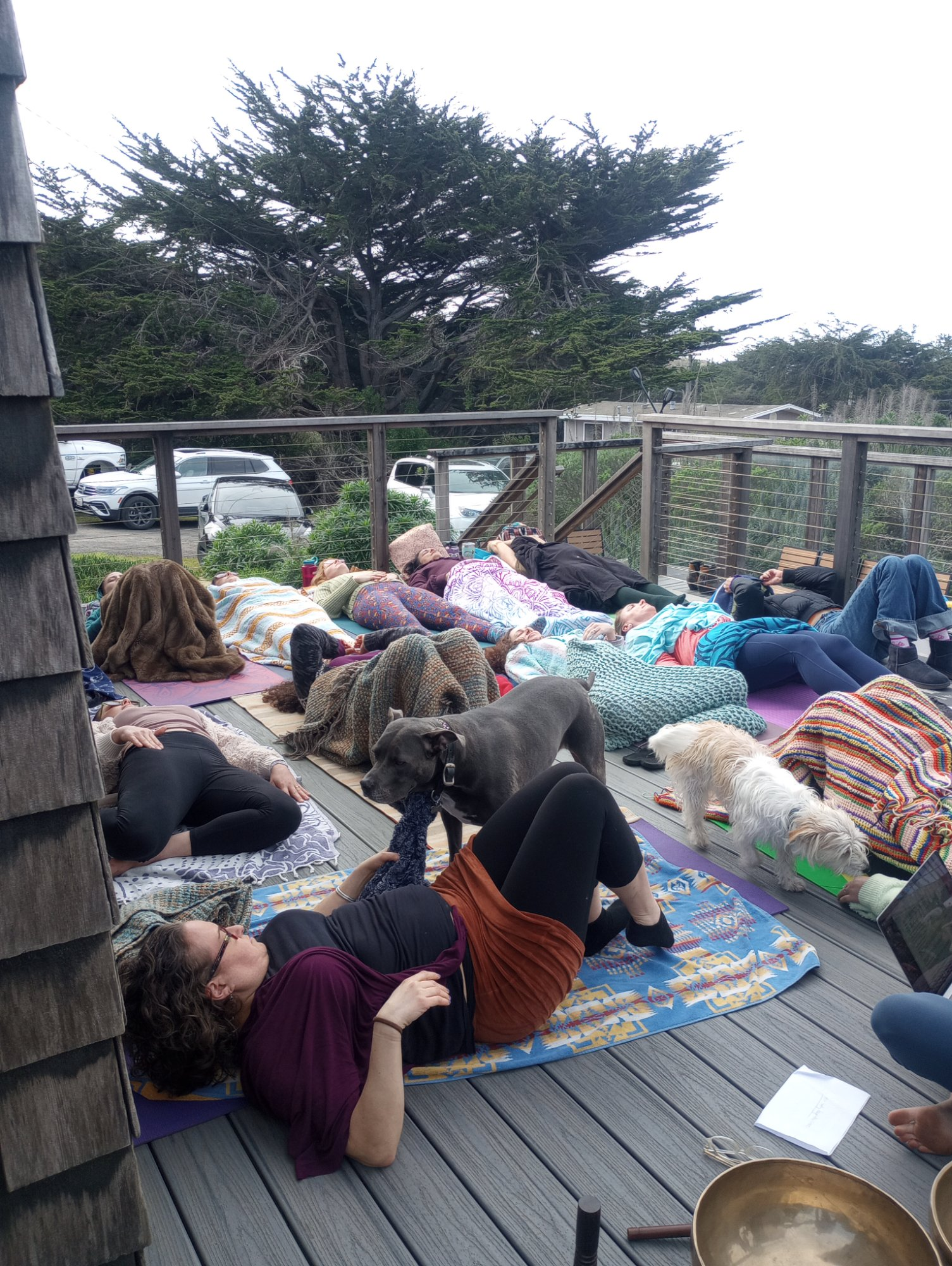 Calm Hippo — gallery image 4